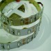 LED 2835 Natural white IP33